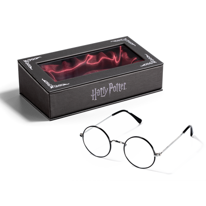 Harry Potter’s Glasses