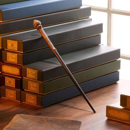 Hermione Granger’s First Wand in Ollivanders box